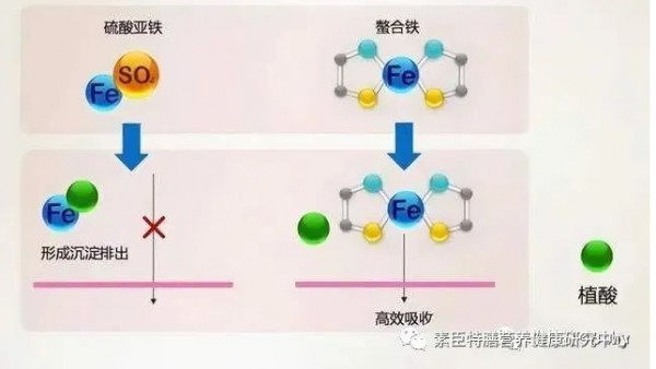 補(bǔ)血神器|缺鐵性貧血，選對(duì)了沒？素臣鐵滴液全新登場(chǎng)！