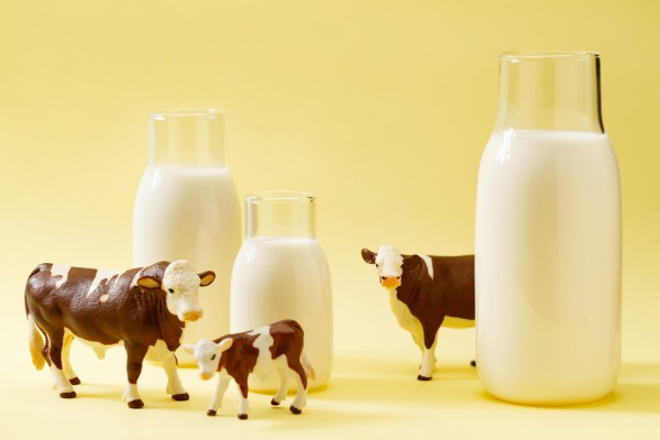 全球最大牛奶生产国奶价暴涨15% 预计将到年底有所缓解