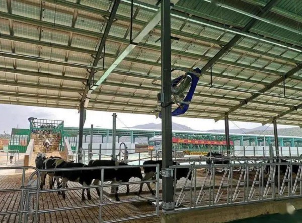 总投资约25.377亿元，云南大理州“8+1”万头奶牛牧场项目陆续竣工