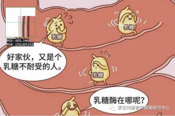 乳糖酶的自我介紹與食用方法