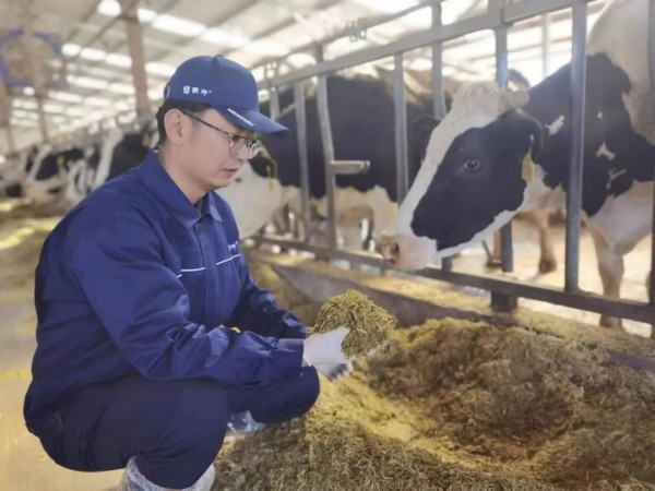 如何加快培育乳业新质生产力？全国人大代表、蒙牛集团史玉东提出这些建议！