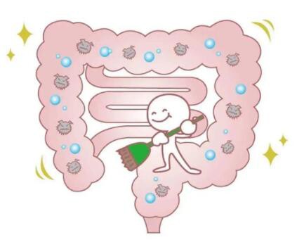 益生元高纤饮：肠道“清道夫”！促进胃肠蠕动，防止便秘