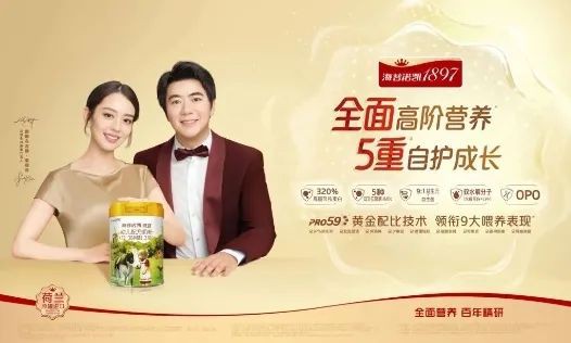 精耕市场与渠道，海普诺凯斩获第二届中国奶粉品牌节“品牌精耕奖”！