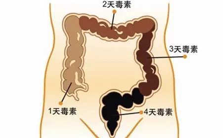 積食帶給孩子的危害，遠(yuǎn)不只是影響食欲，還會(huì)造成舌苔剝落、貧血、蕁麻疹等一系列問(wèn)題！