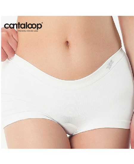 Cantaloop孕妇内衣代理,样品编号:23885