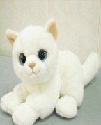 白色小猫毛绒公仔