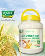 给力益生强化铁锌钙五谷杂粮营养米粉800g