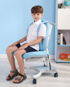  儿童学习椅 学生椅子可升降 靠背椅写字椅 家用电脑椅