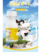 精谷源牛乳高钙片压片糖果