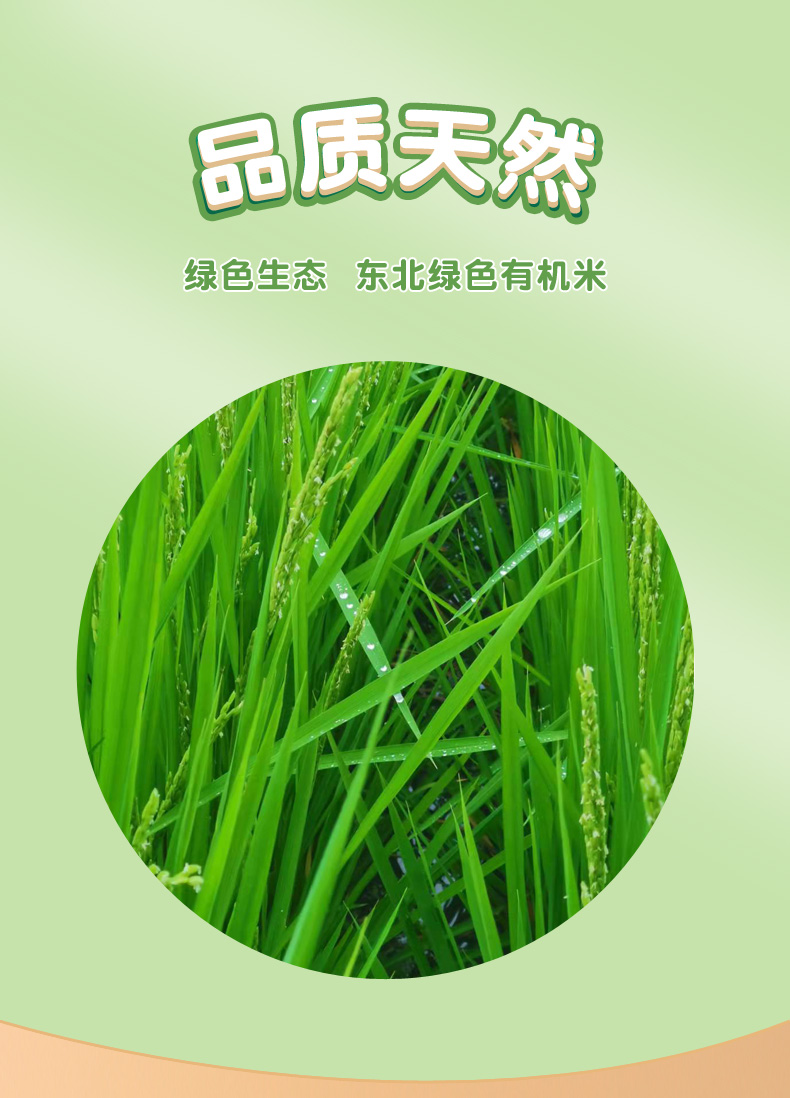 \"飽貝星球有機(jī)胚芽米,產(chǎn)品編號(hào)112733\"/