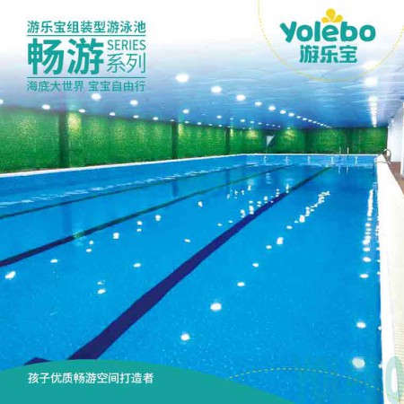 浙江健身游泳组装池大型室外恒温拼装式游泳池成人游泳池
