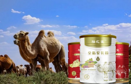 驼奶粉代加工,纯骆驼奶粉厂家