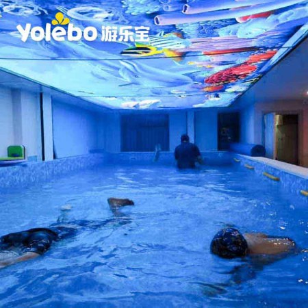 广东室内游泳池价格-亚克力智能儿童水疗机洗婴池
