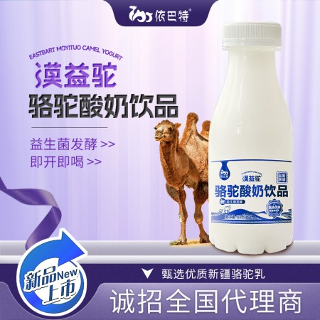 骆驼酸奶贴牌代加工原料-骆驼酸奶厂家