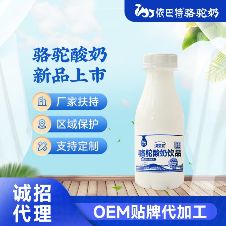 骆驼酸奶ODM生产厂家-骆驼酸奶代工