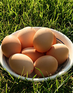 孕期这样吃鸡蛋对身体有害